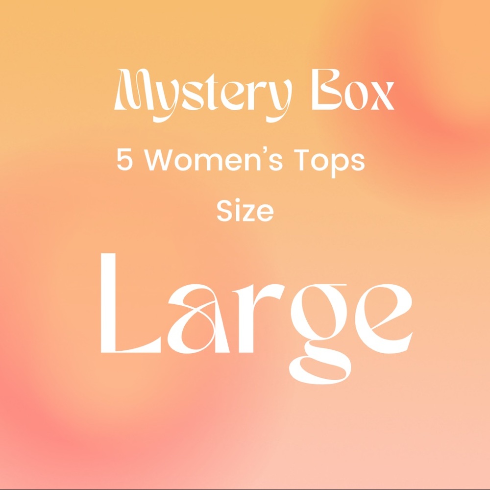 5 Women’s Large Tops Mystery Box
